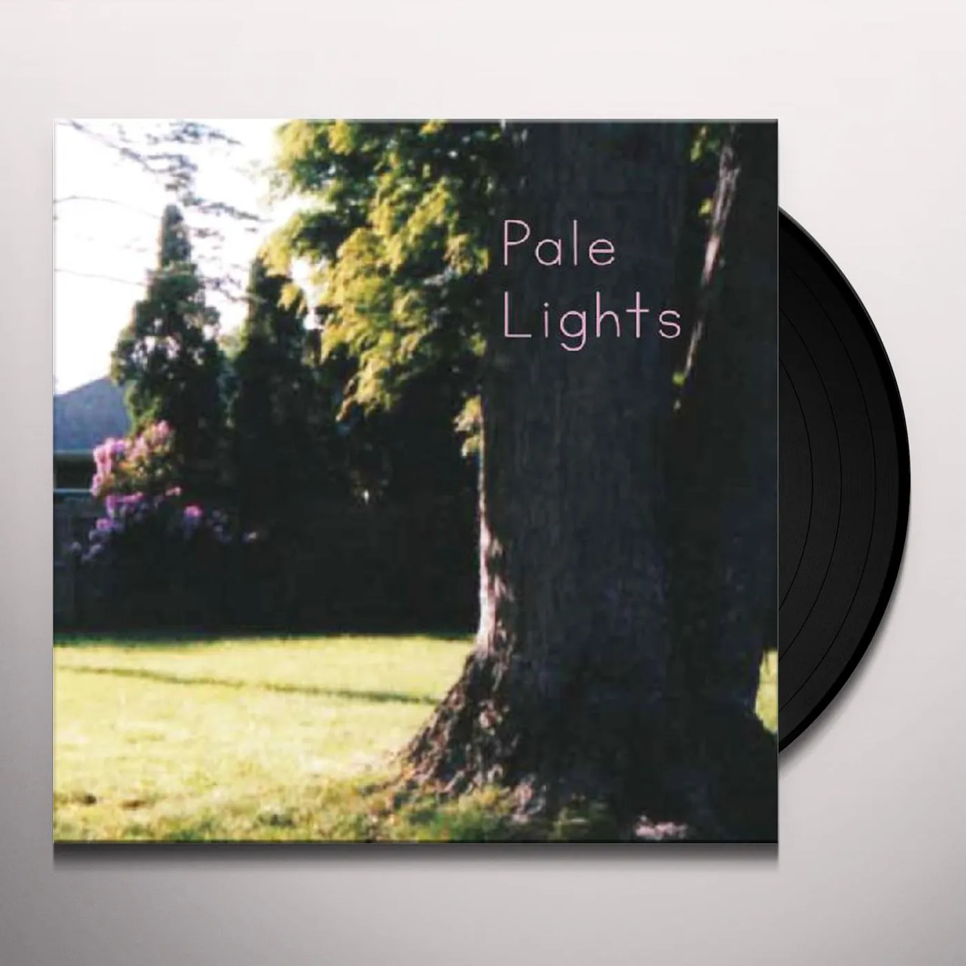 Pale Lights You And I Vinyl Record