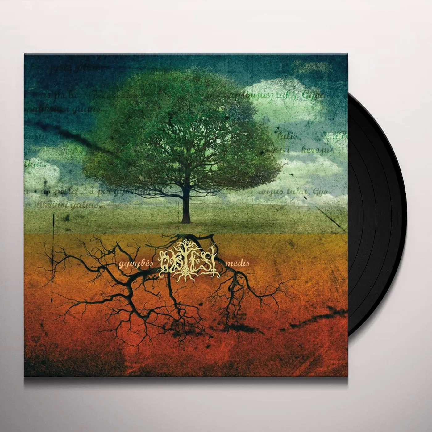 Obtest GYVYBES MEDIS Vinyl Record