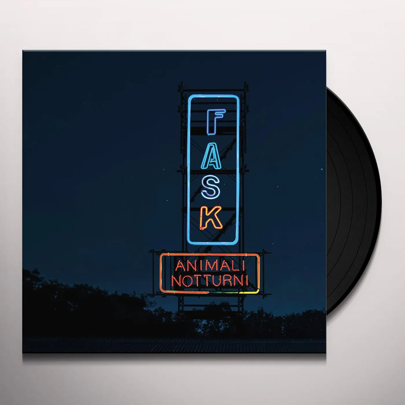 Fast Animals and Slow Kids Animali notturni Vinyl Record