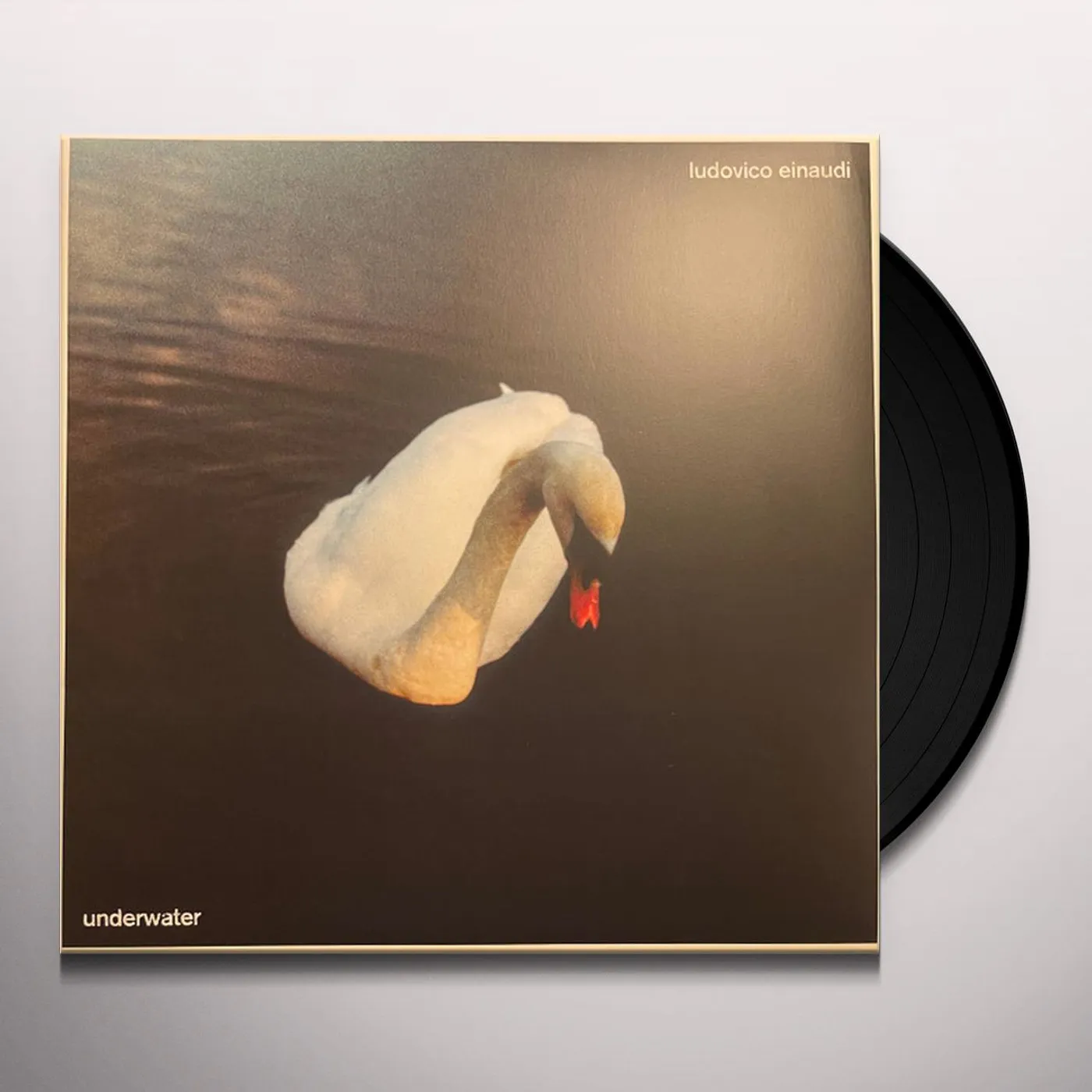 Ludovico Einaudi Underwater Vinyl Record