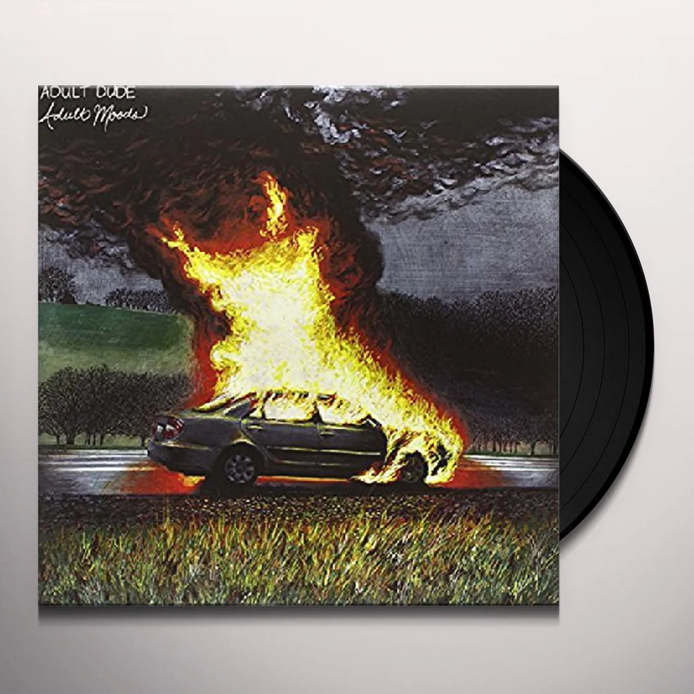 ADULT DUDE Vinyl Record