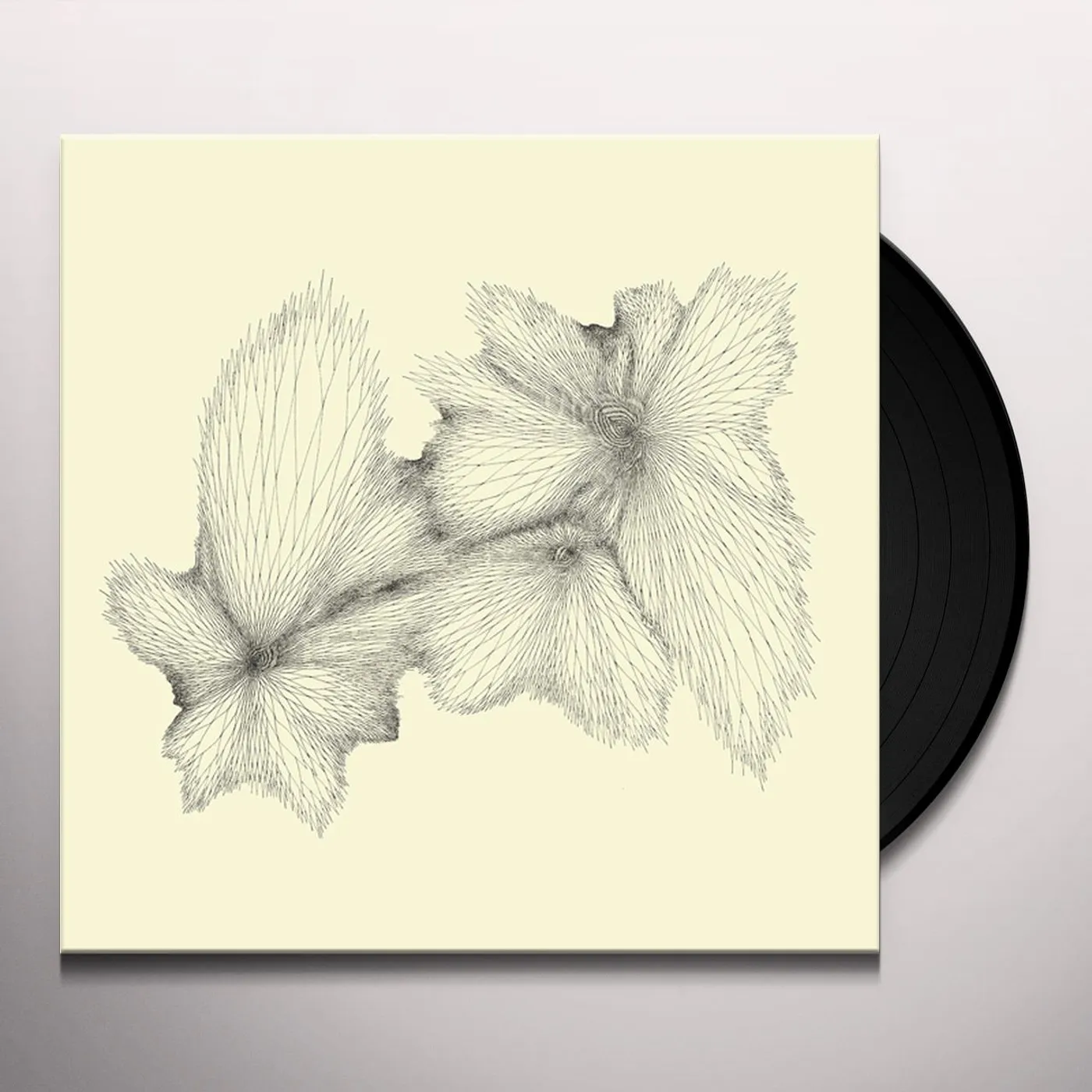 Eyvind Kang PLAINLIGHT Vinyl Record