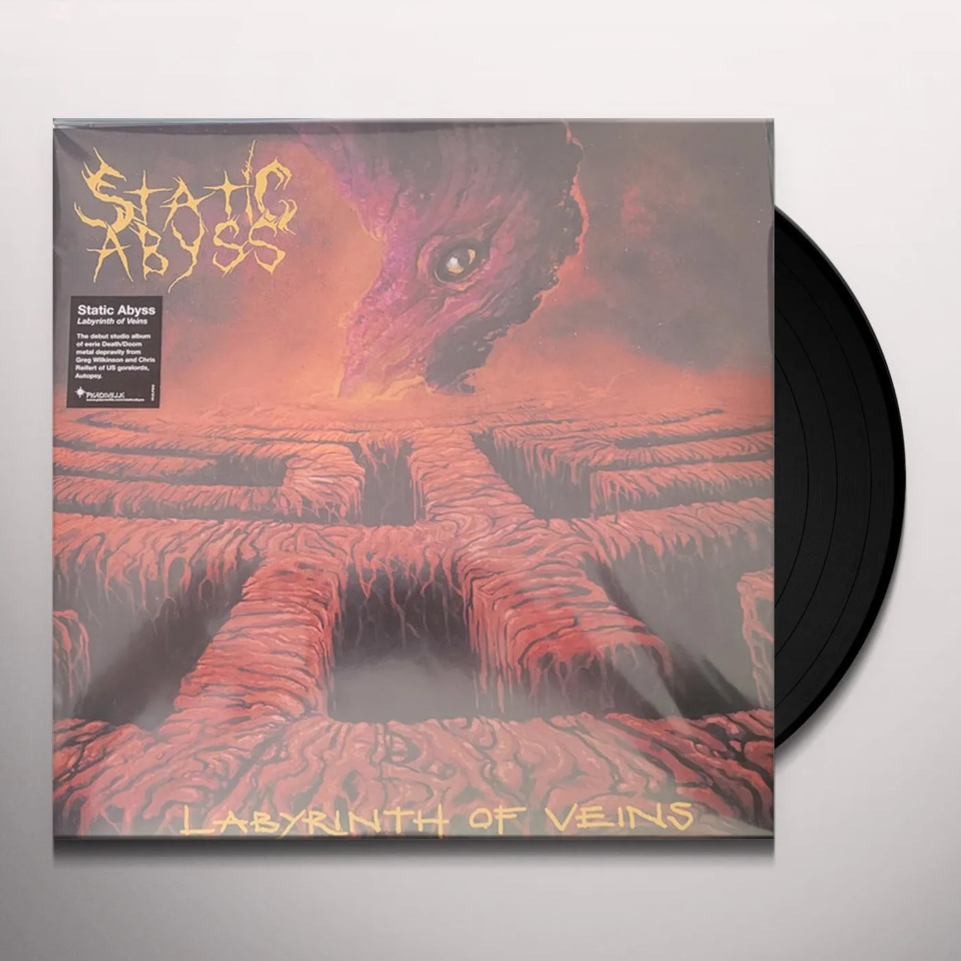 Static Abyss LABYRINTH OF VEINS Vinyl Record