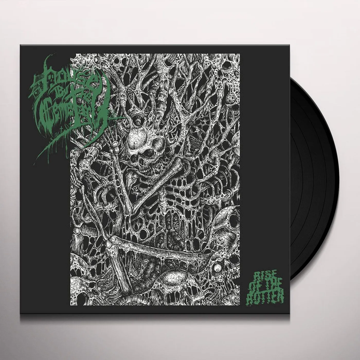 House by the Cemetary Rise of the Rotten Vinyl Record
