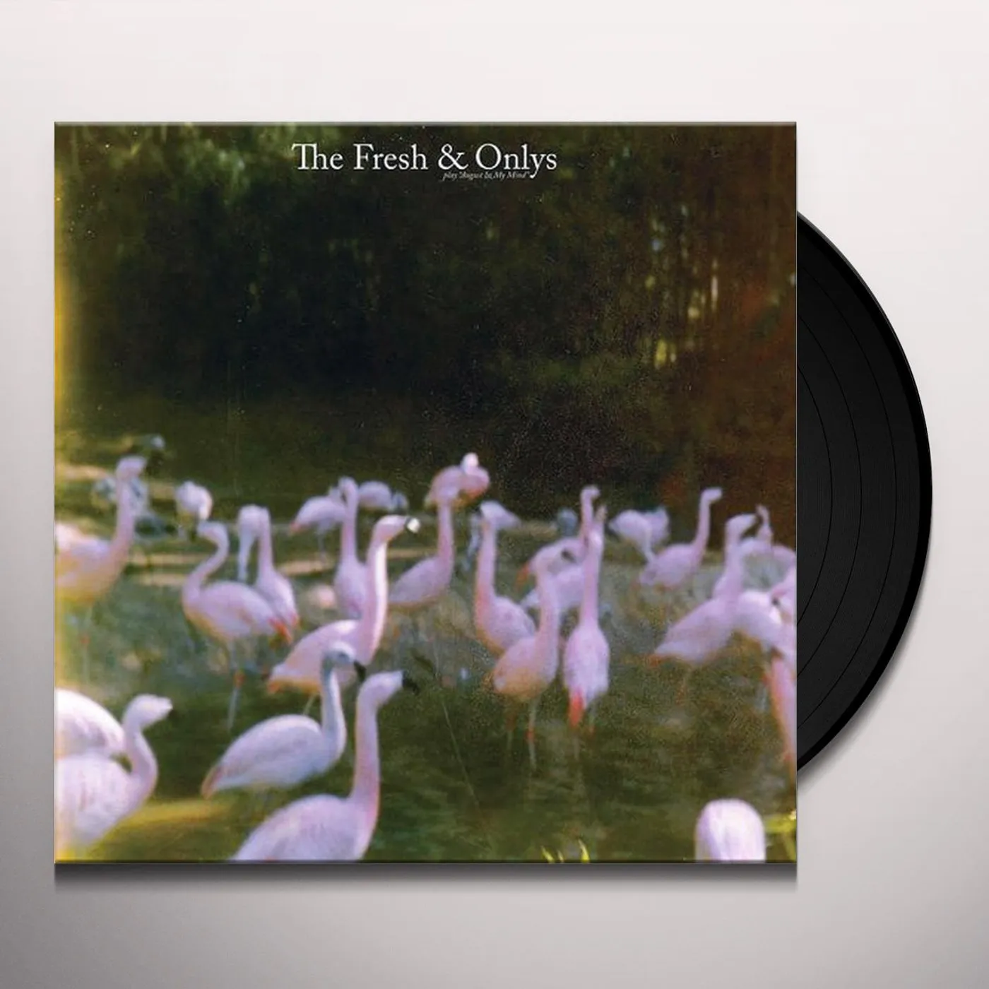 The Fresh & Onlys August in My Mind Vinyl Record