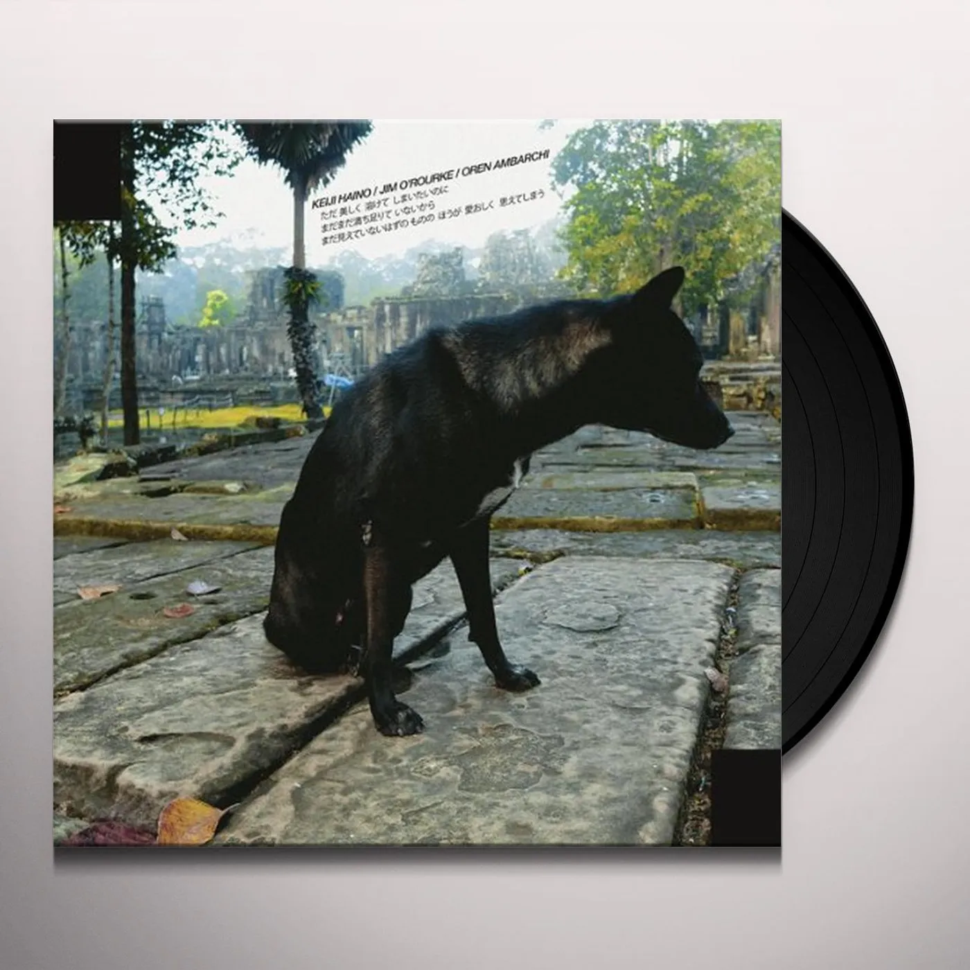 Keiji Haino ONLY WANTING TO MELT BEAUTIFULLY AWAY IS IT A LACK Vinyl Record