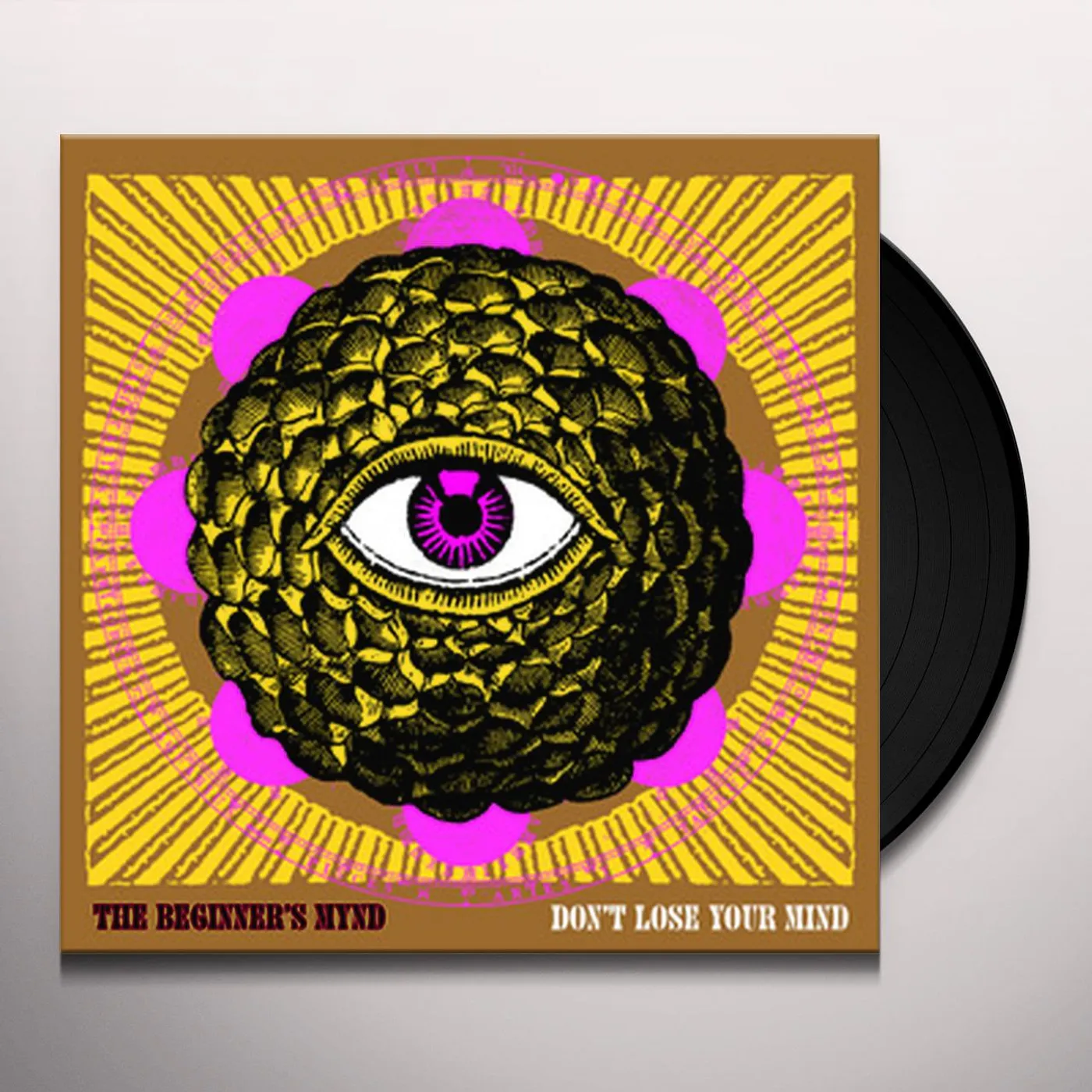 The Beginner's Mynd Don't Lose Your Mind Vinyl Record