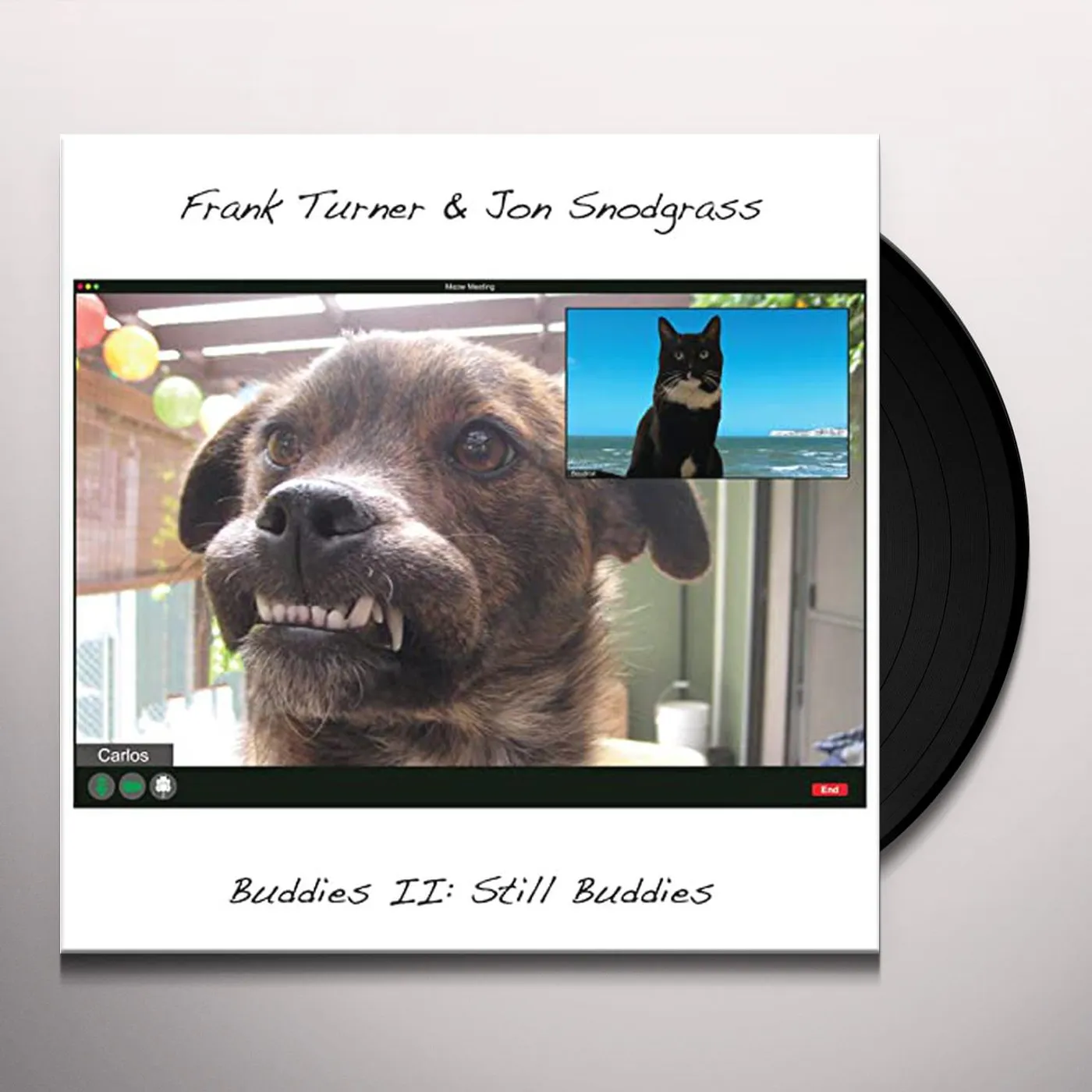 Frank Turner / Jon Snodgrass Buddies II: Still Buddies Vinyl Record
