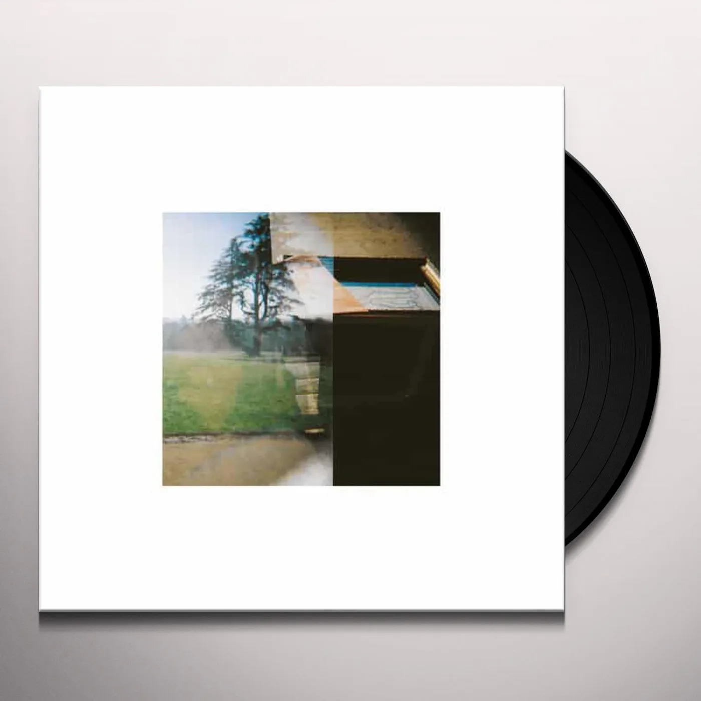Richard Youngs MODERN SORROW Vinyl Record