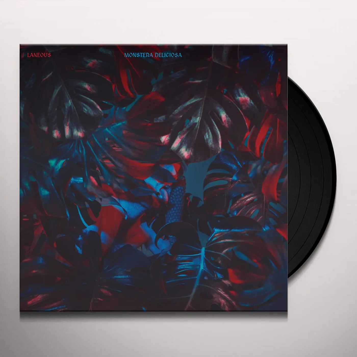 Laneous Monstera Deliciosa Vinyl Record