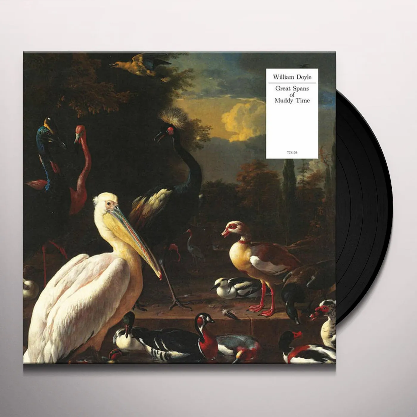 William Doyle Great Spans of Muddy Time Vinyl Record