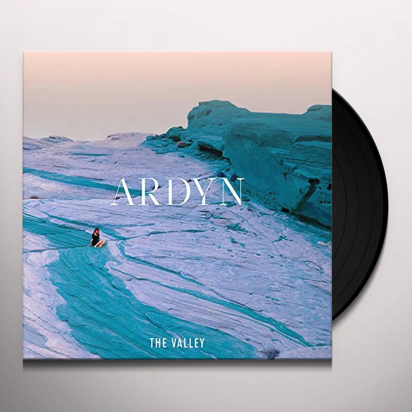 Ardyn VALLEY Vinyl Record
