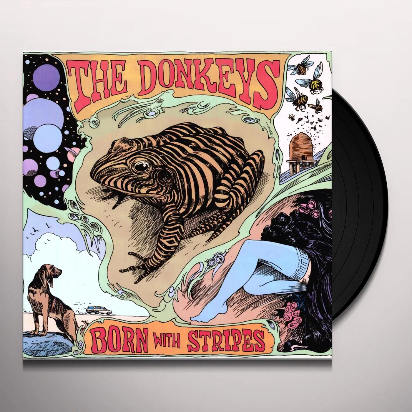 The Donkeys Born With Stripes Vinyl Record