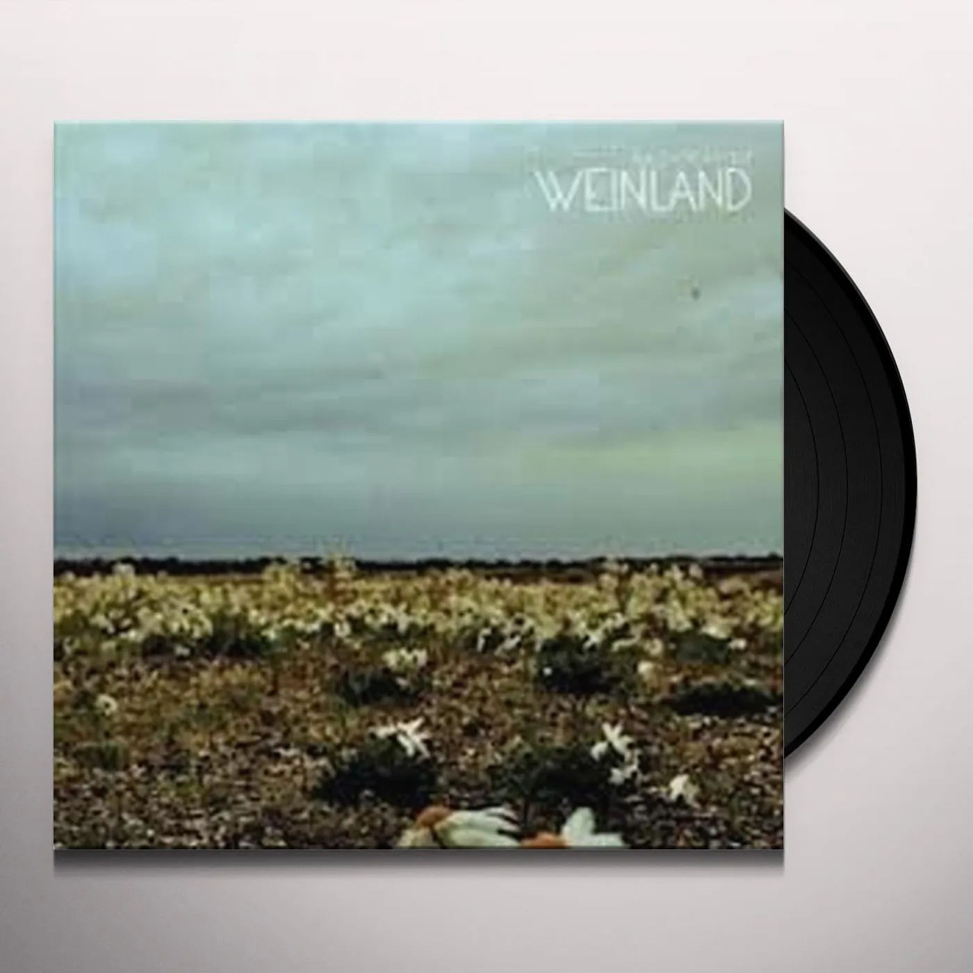 Weinland PROCESSAUR Vinyl Record