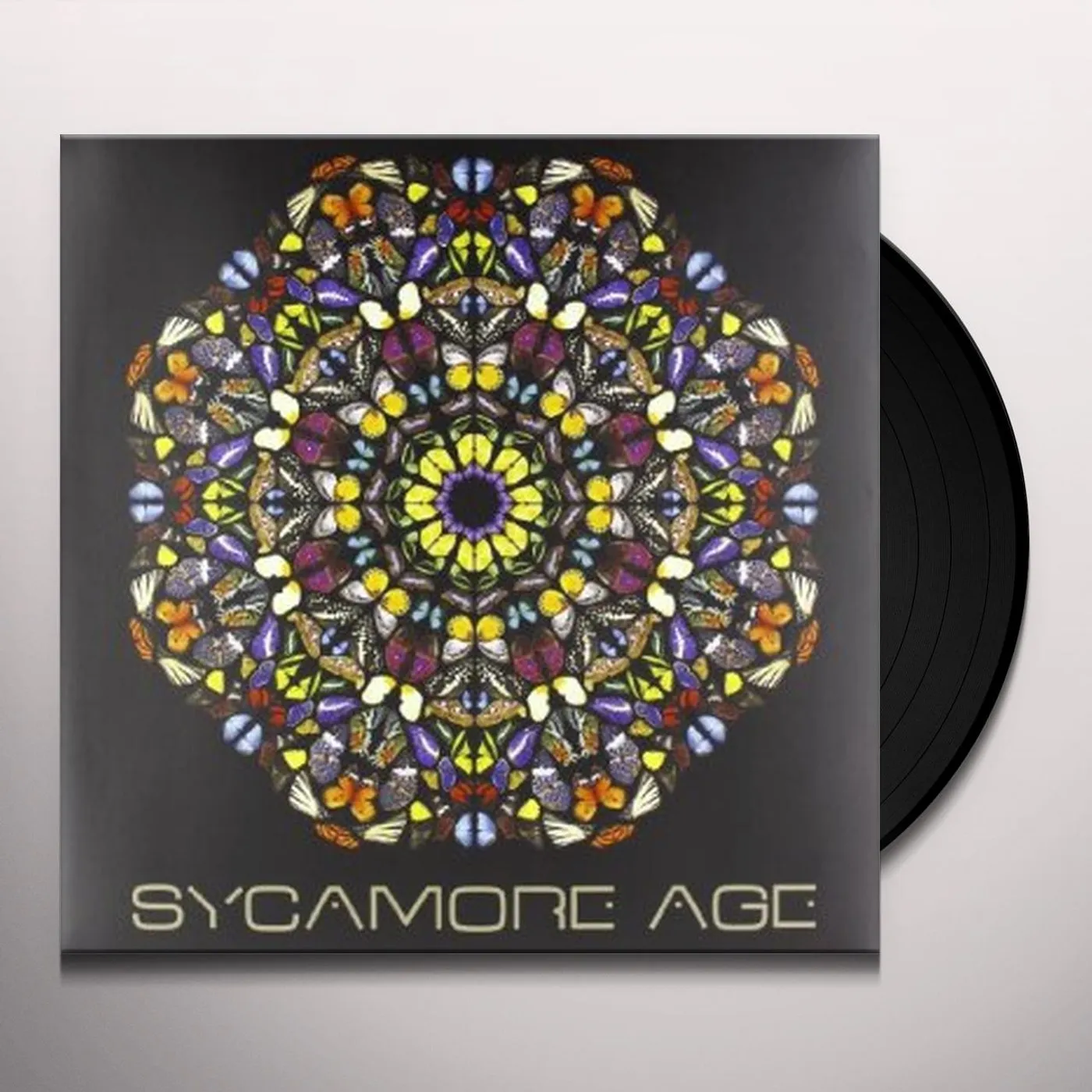 Sycamore Age Vinyl Record