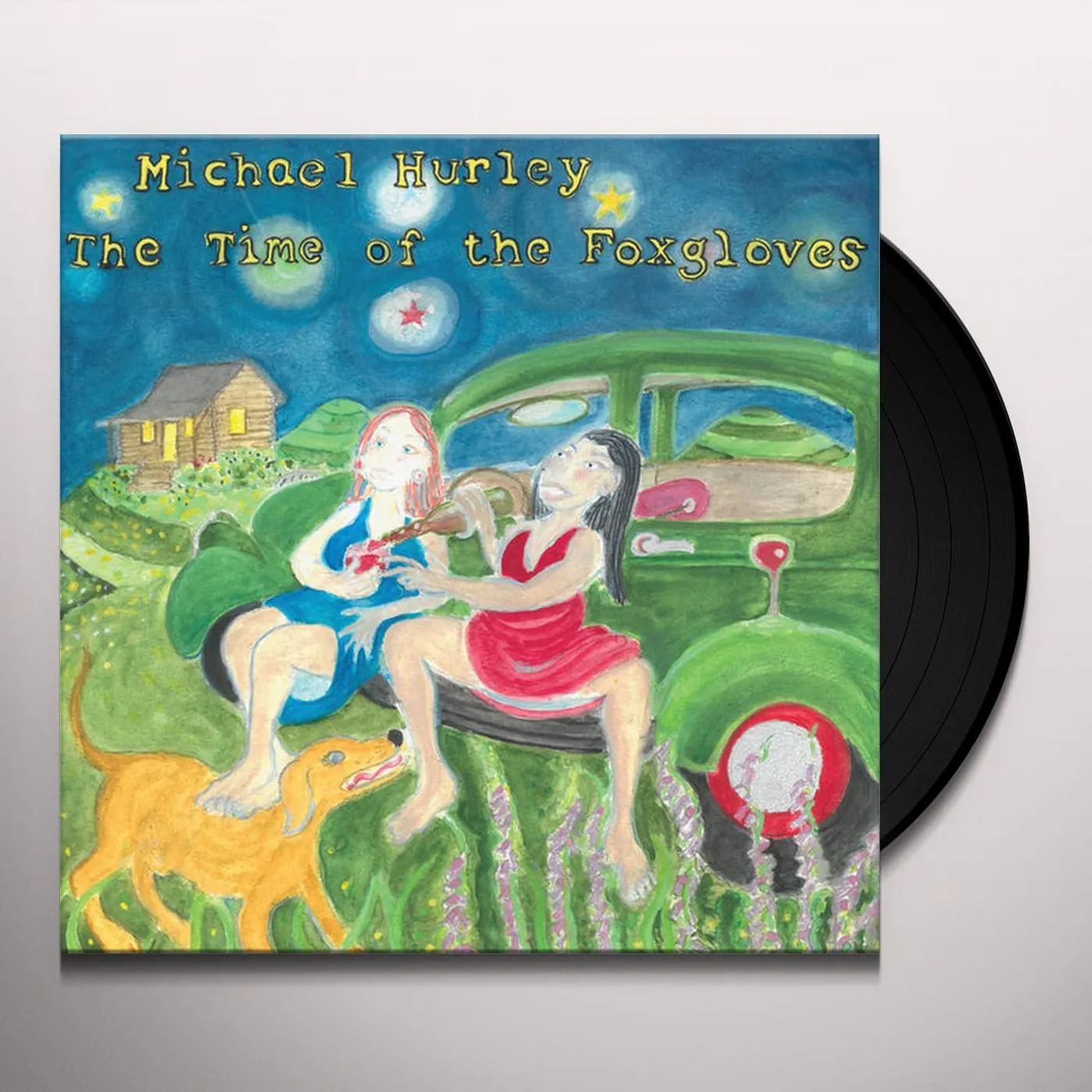 Michael Hurley TIME OF THE FOXGLOVES Vinyl Record