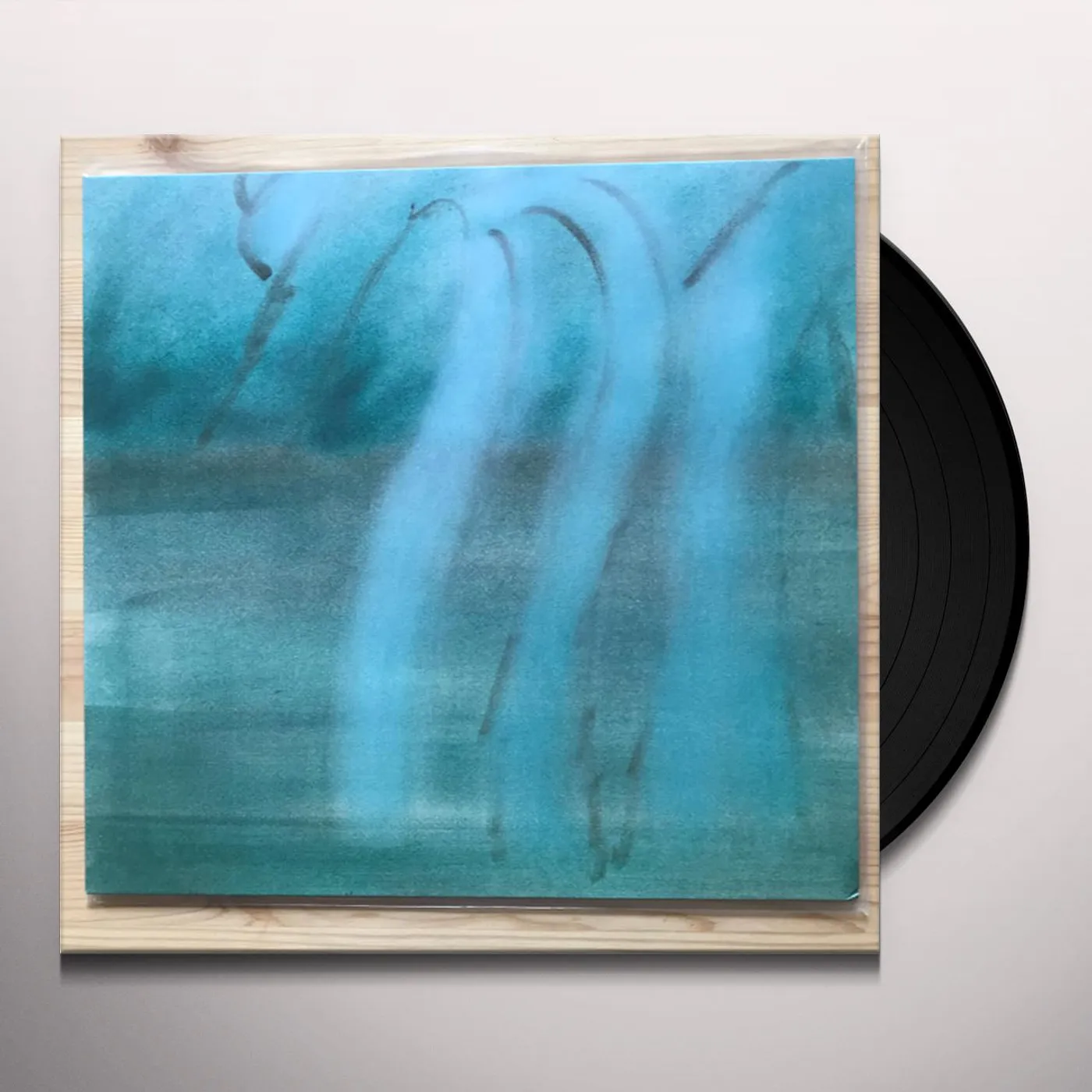 Theodore Cale Schafer Patience Vinyl Record