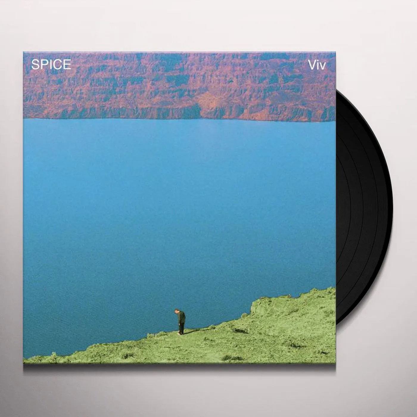 SPICE Viv Vinyl Record