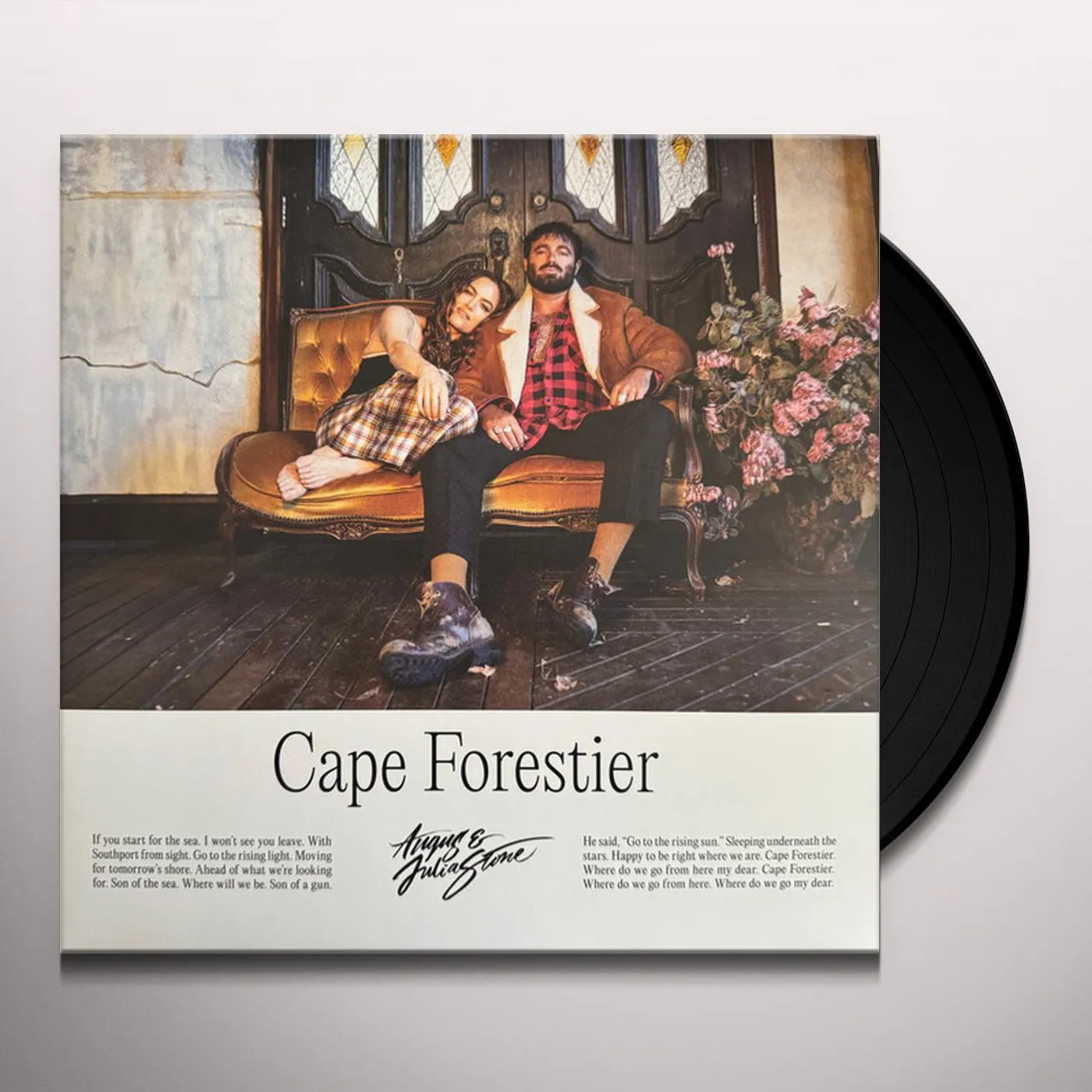 Angus & Julia Stone ANGUS & JULIA Vinyl Record