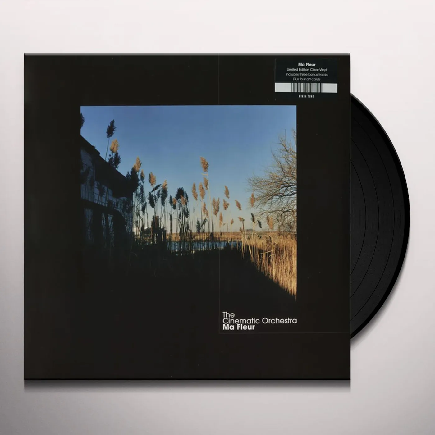 The Cinematic Orchestra MA FLEUR Vinyl Record