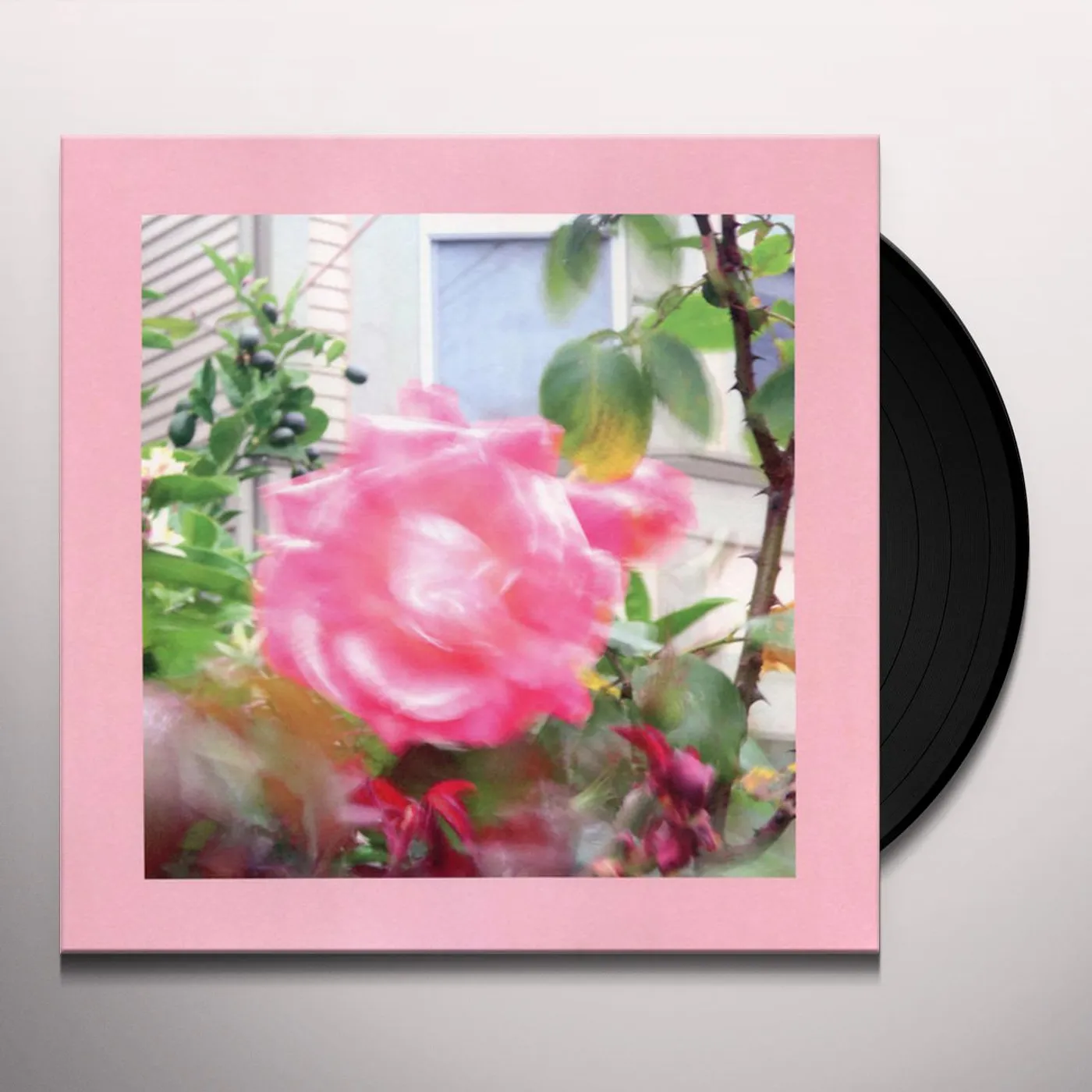 The Reds, Pinks and Purples Summer at Land's End Vinyl Record