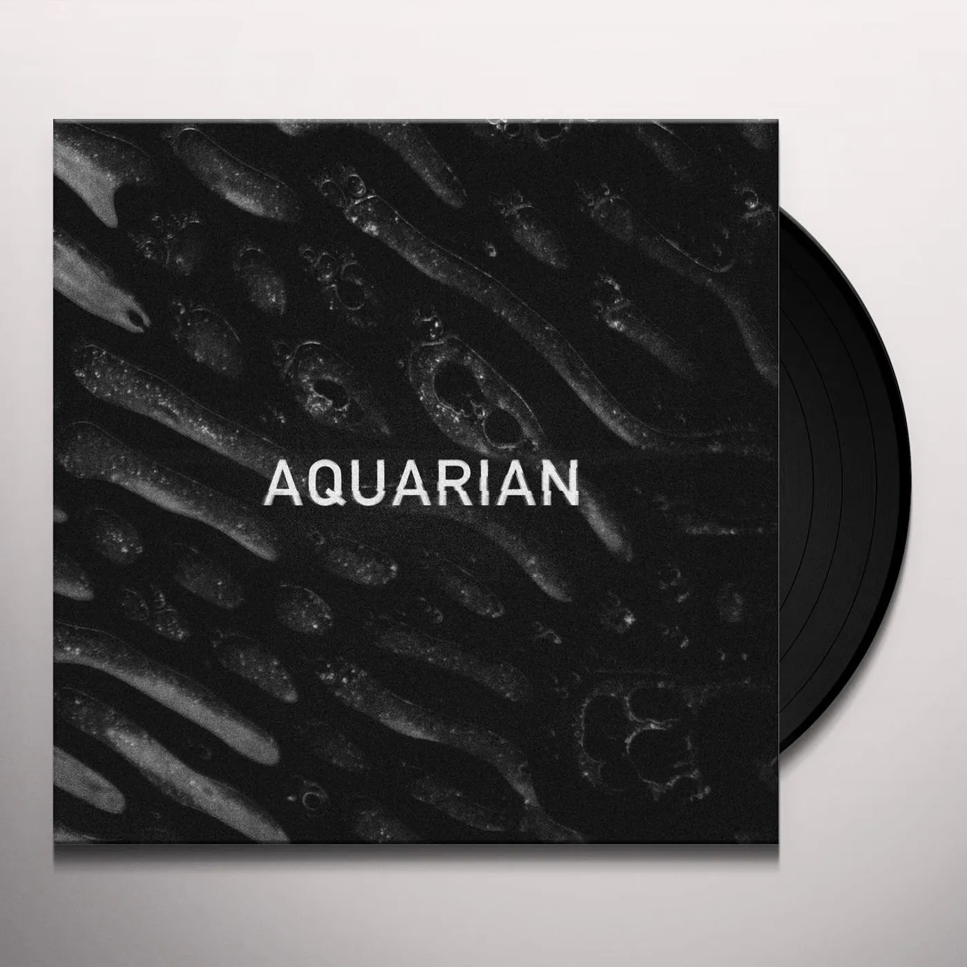 Aquarian Ep   12 Vinyl Record