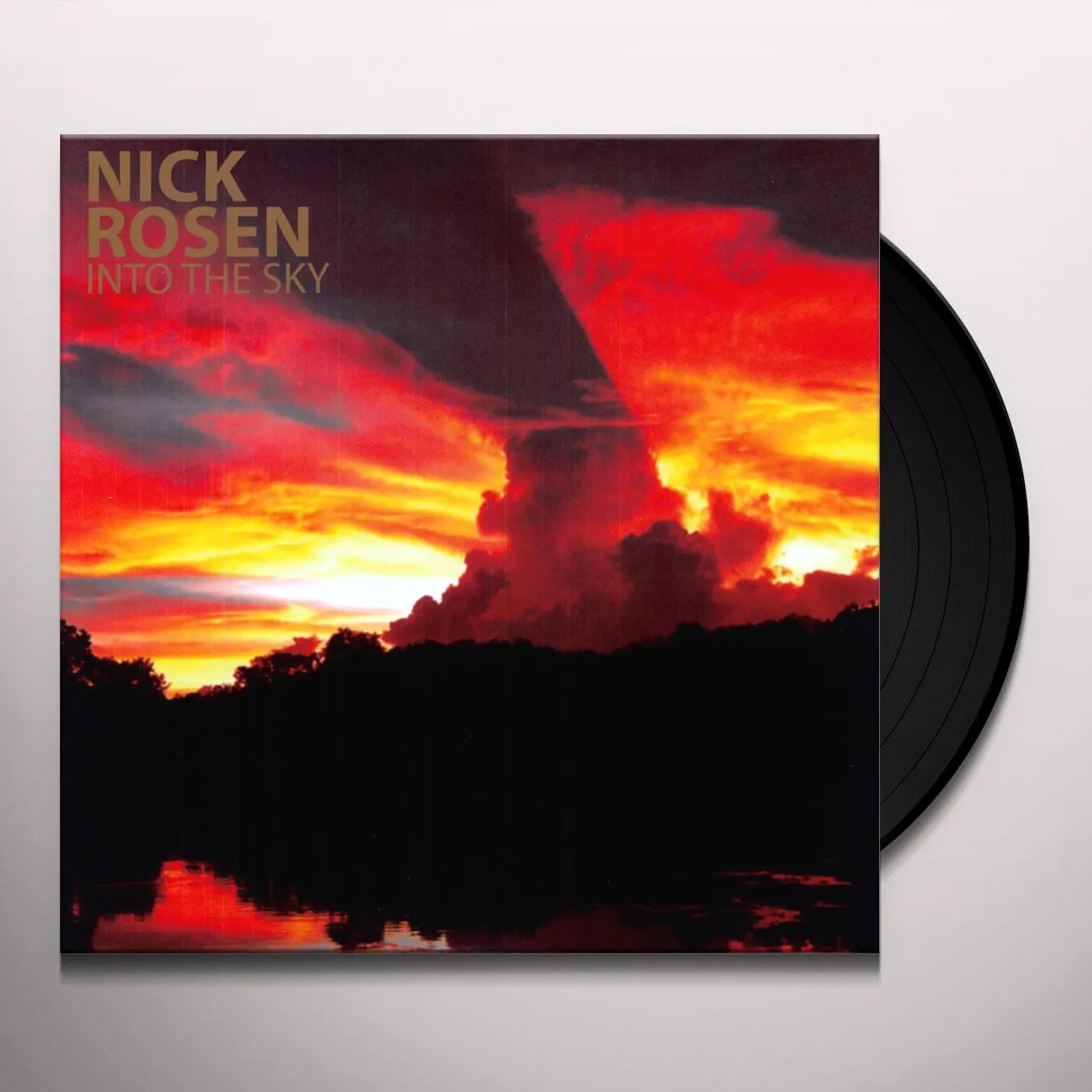 Nick Rosen Into the Sky Vinyl Record