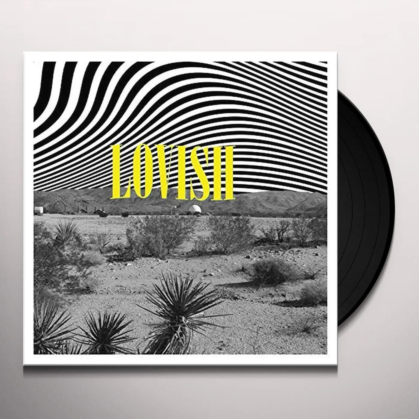 Library Voices Lovish Vinyl Record