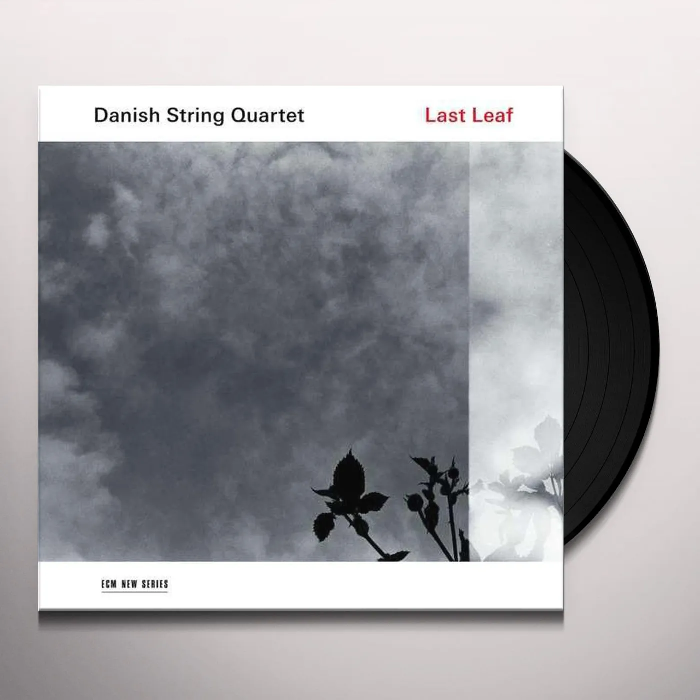 Danish String Quartet Last Leaf Vinyl Record