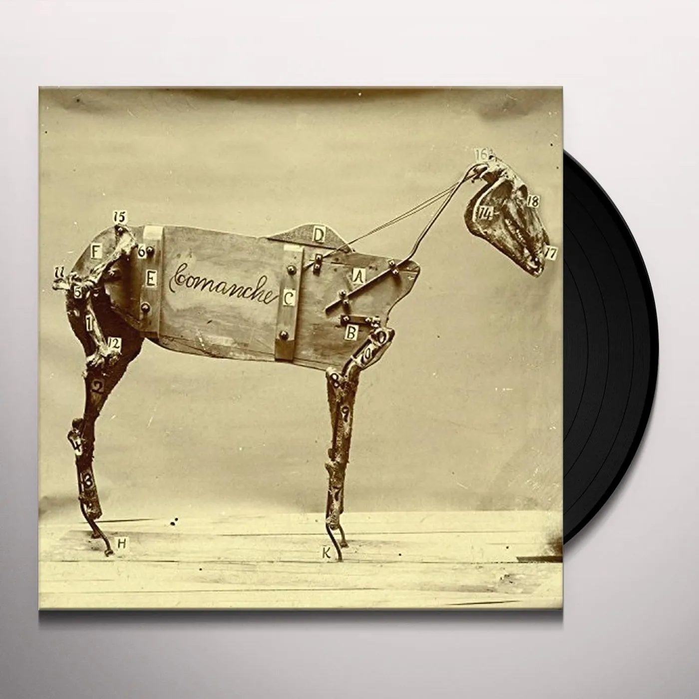 Chadwick Stokes HORSE COMANCHE Vinyl Record
