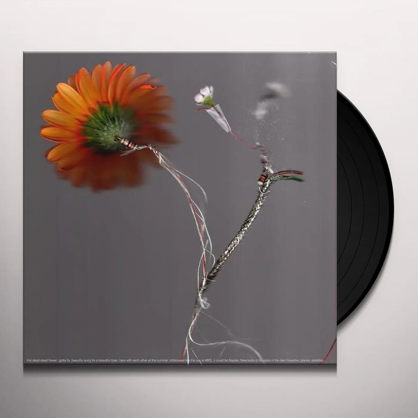Basile3 43°C Vinyl Record