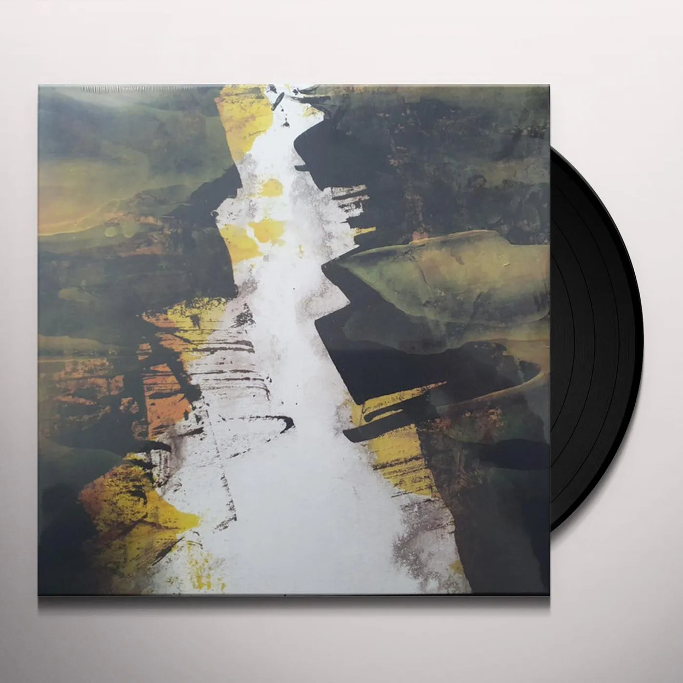 Lizzard Eroded Vinyl Record