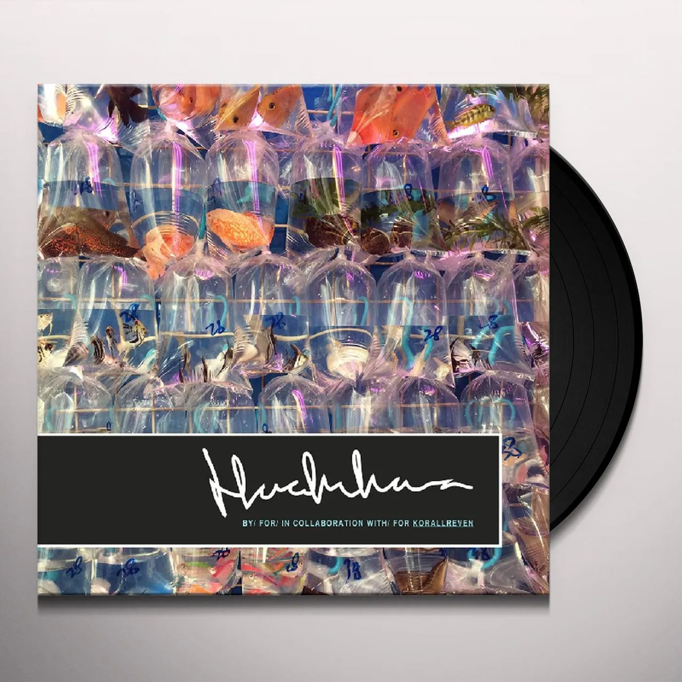 Korallreven Here in Iowa Vinyl Record