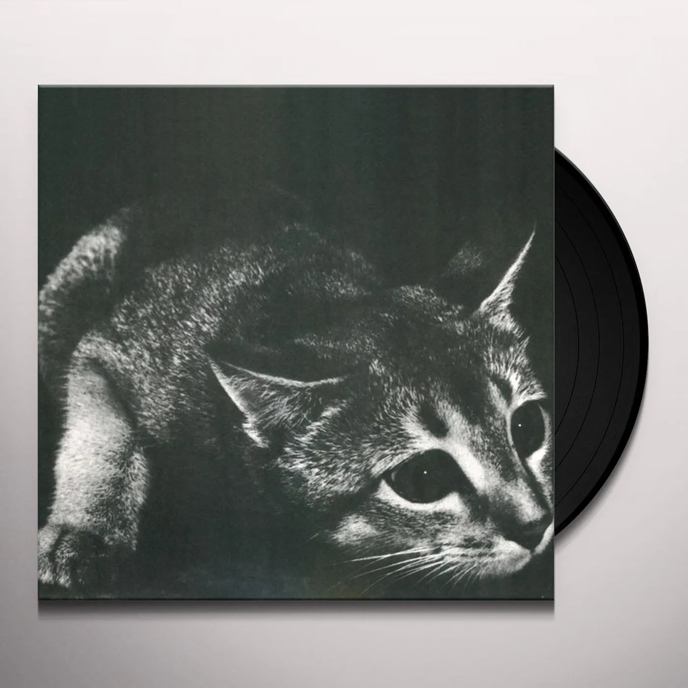 CINDY Vinyl Record