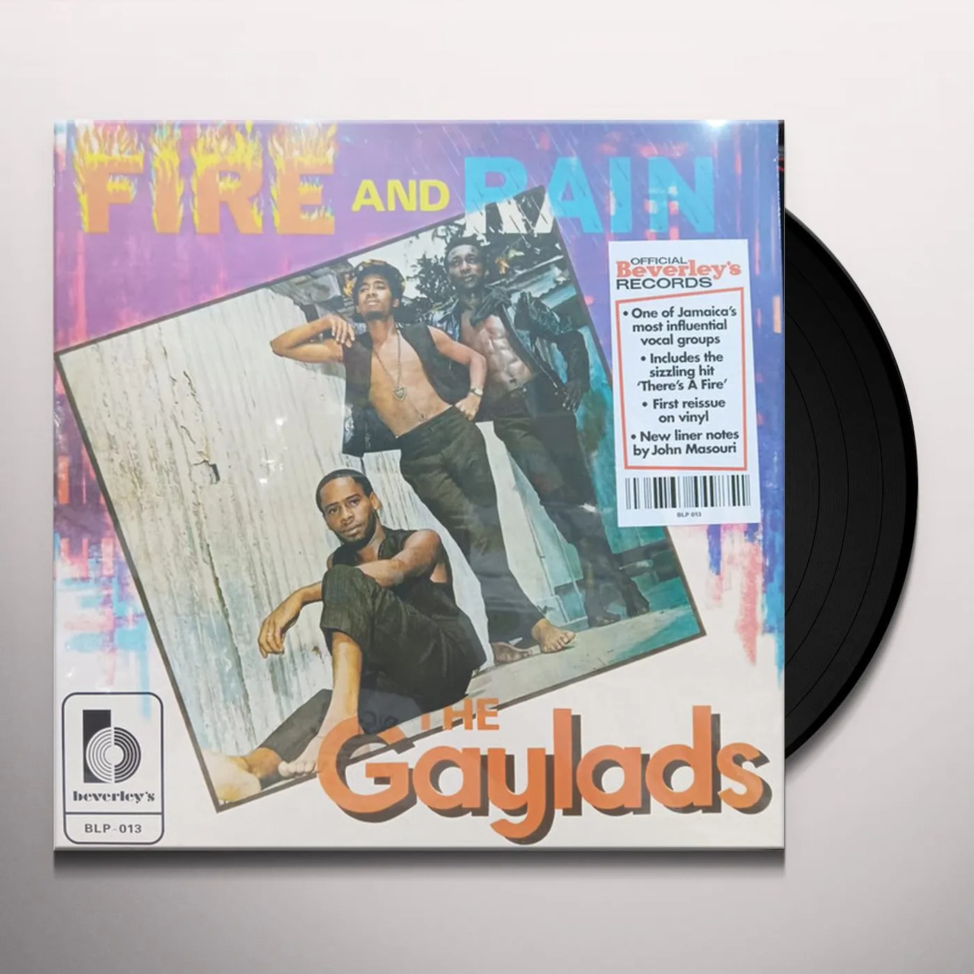 The Gaylads FIRE & RAIN Vinyl Record