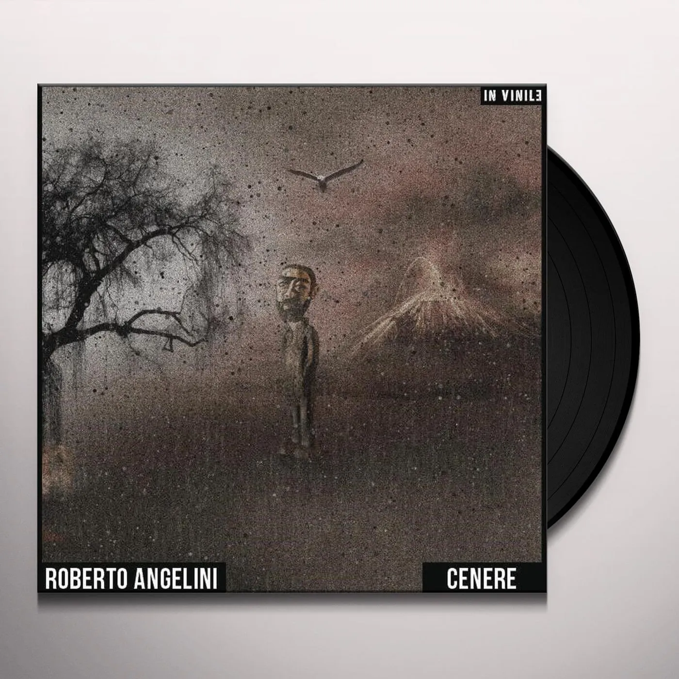 Roberto Angelini Cenere Vinyl Record