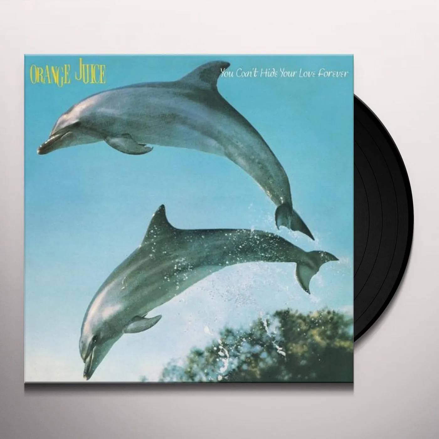 Orange Juice You Can't Hide Your Love Forever Vinyl Record