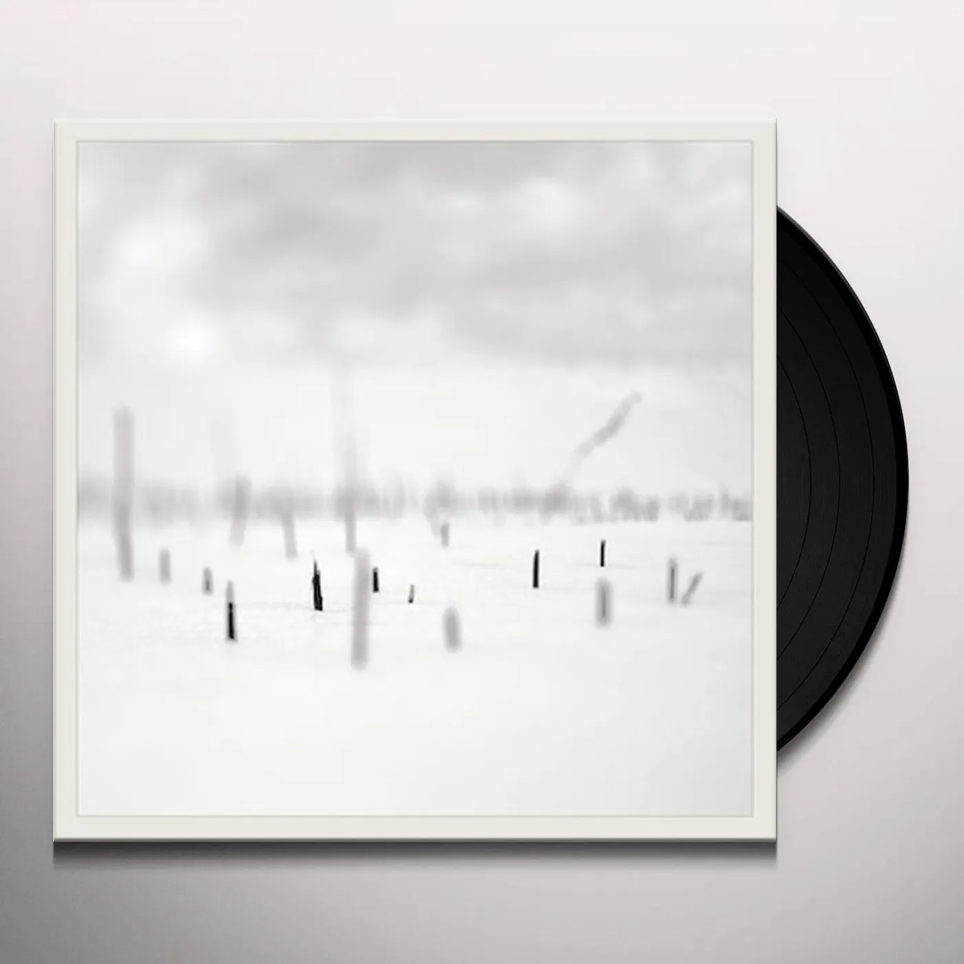 Taylor Deupree In A Place Of Such Graceful Shapes Vinyl Record
