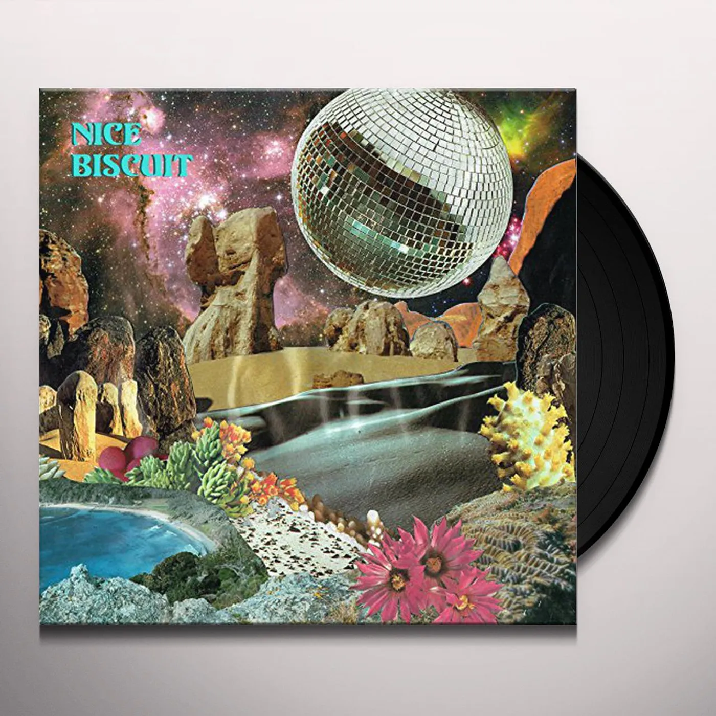 Nice Biscuit Captain / Fairfield of Dreams Vinyl Record
