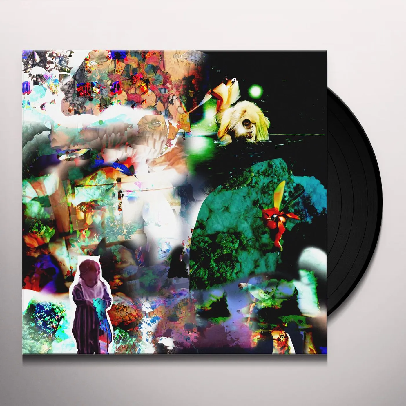 Acidhead Distractions Vinyl Record