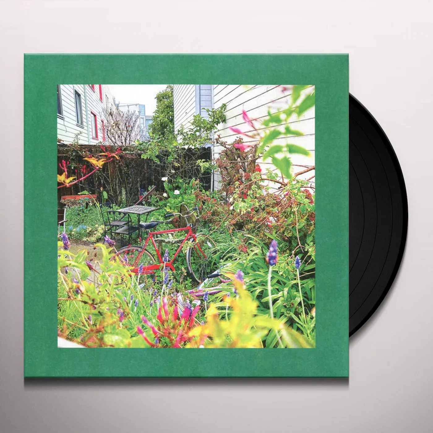The Reds, Pinks and Purples Unwishing Well Vinyl Record