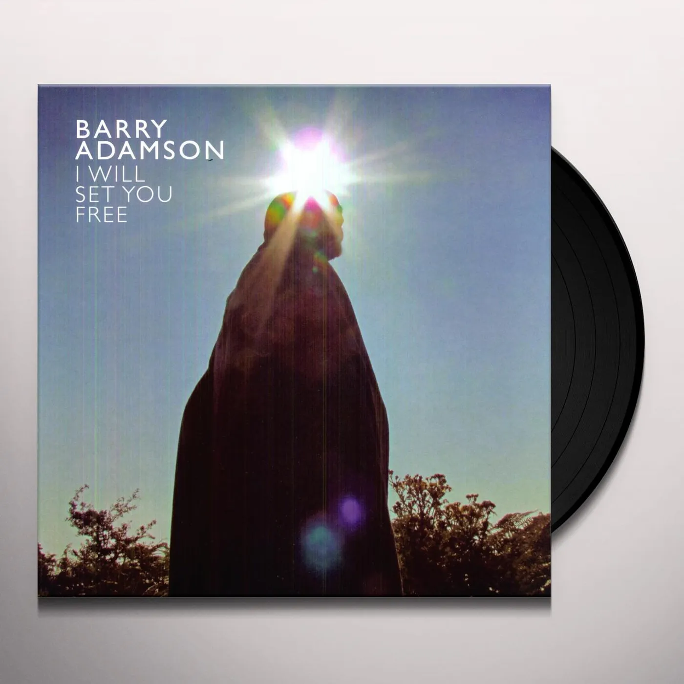 Barry Adamson I WILL SET YOU FREE (GATEFOLD) Vinyl Record