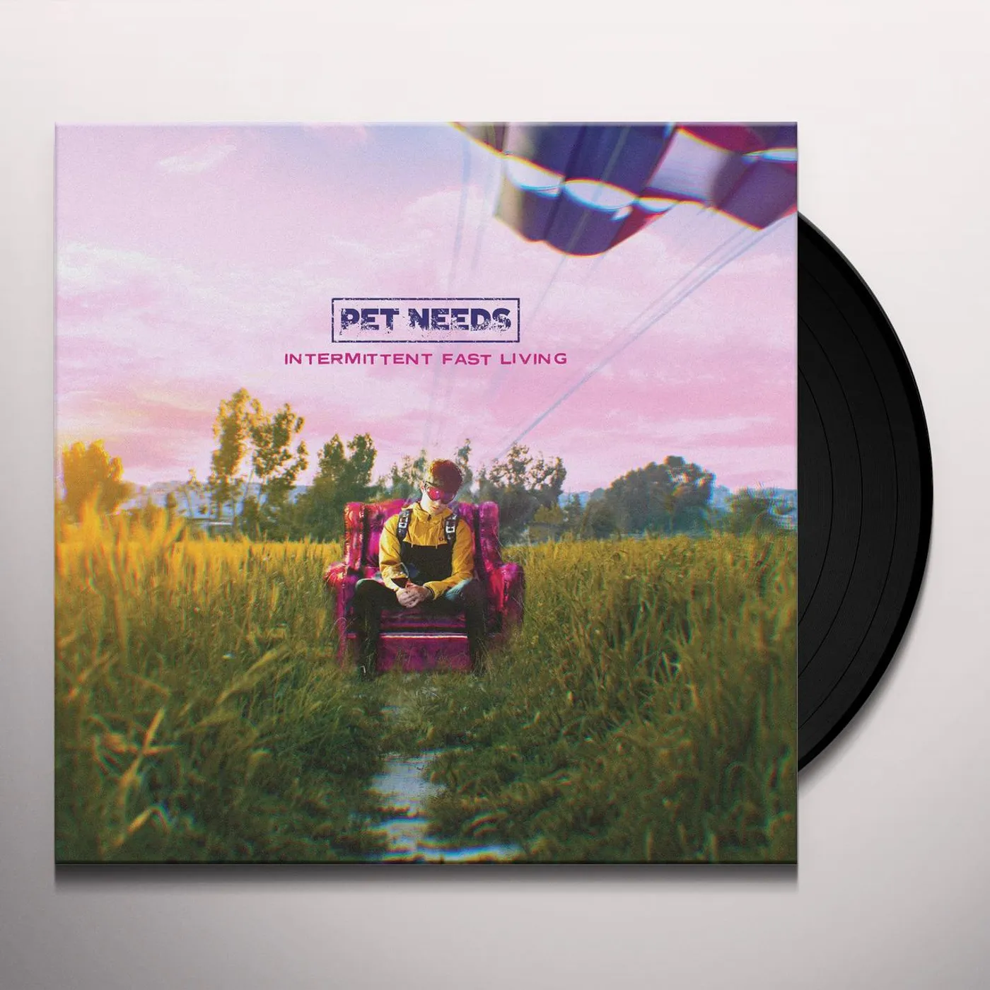 PET NEEDS Intermittent Fast Living Vinyl Record