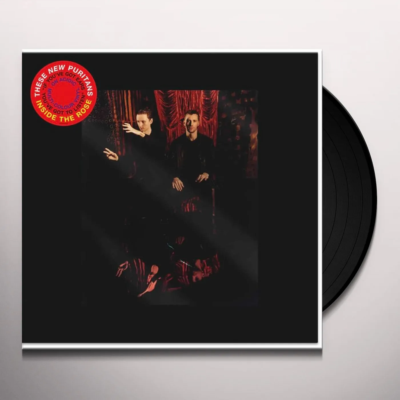 These New Puritans Inside The Rose Vinyl Record