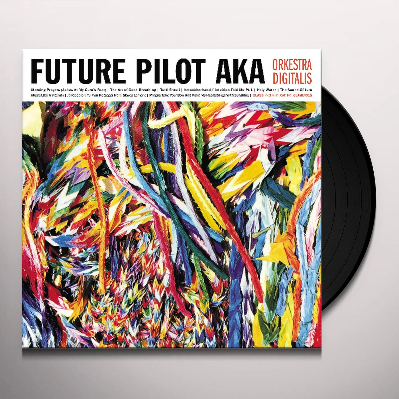 Future Pilot AKA Orkestra Digitalis Vinyl Record