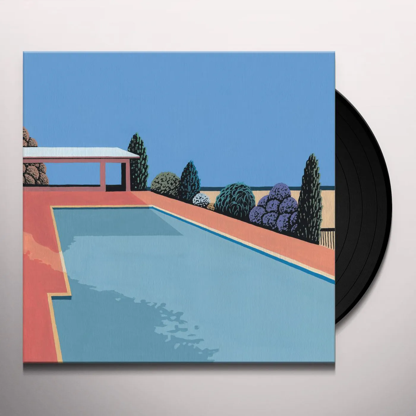 C Duncan Health Vinyl Record