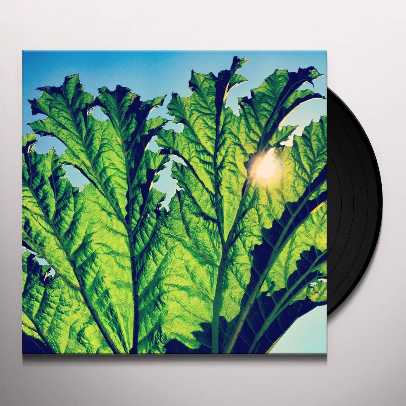 Pfarmers Gunnera Vinyl Record