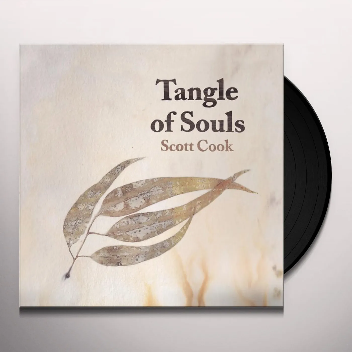 Scott Cook Tangle of Souls Vinyl Record