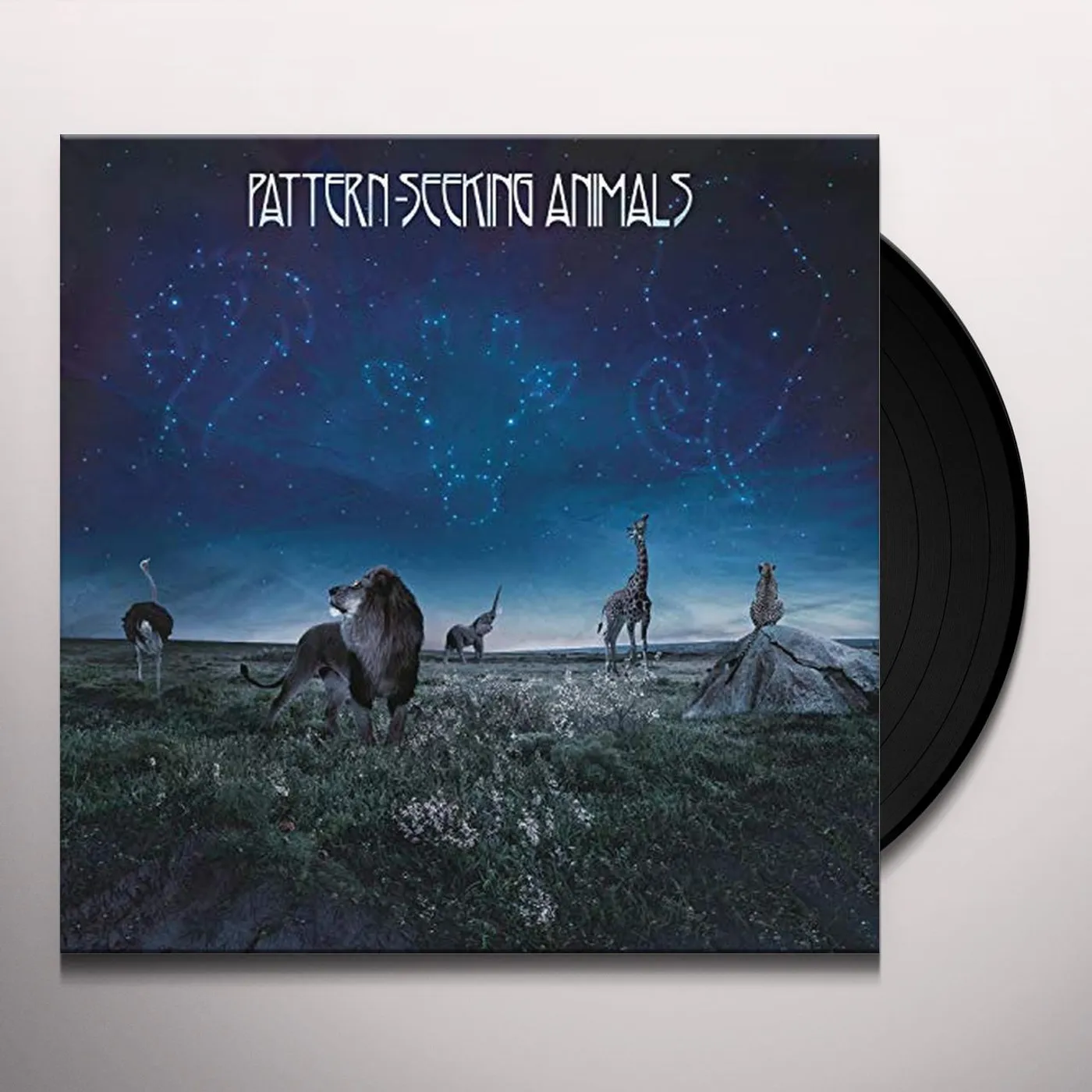 Pattern-Seeking Animals Vinyl Record