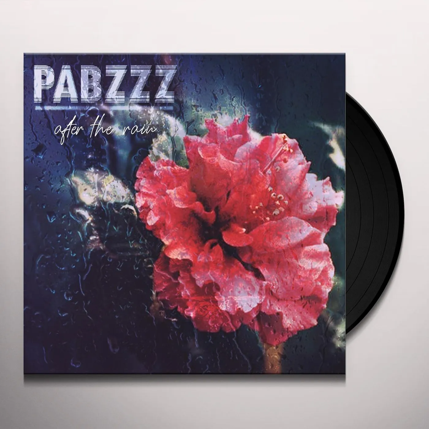 Pabzzz After the Rain Vinyl Record